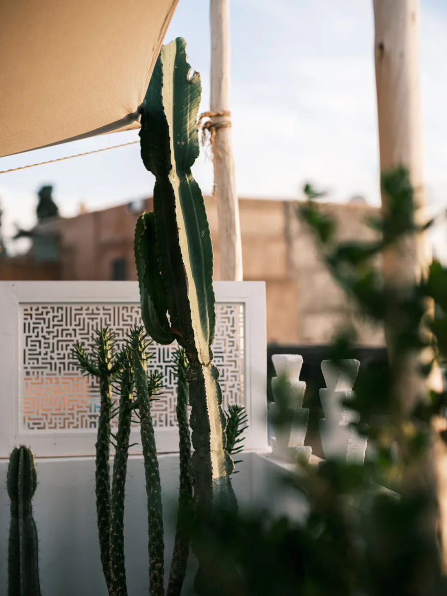 Maison Habibi, Dar el Bacha, Foto 17 de 26