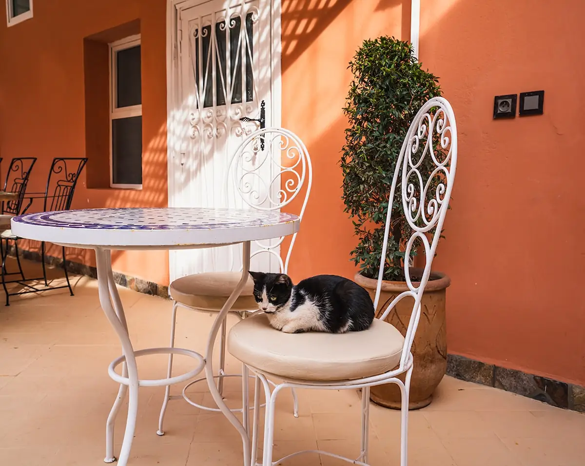 Riad Berbère, Lalla Takerkoust, Foto 24 von 32
