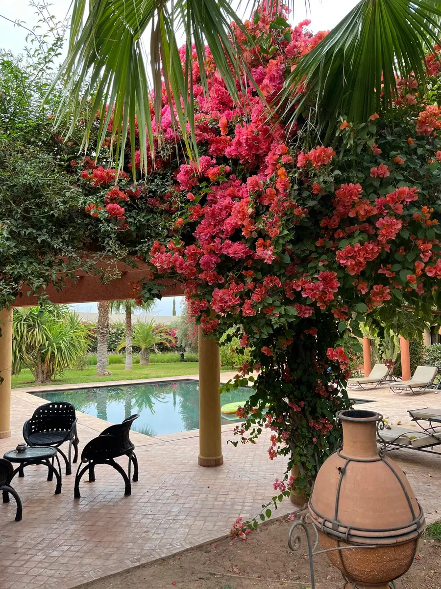 Villa Pacha — Route de l'Ourika, Sidi Moussa — صورة 14 من 25